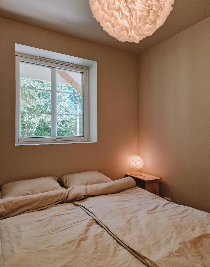 Cozy And Newly Renovated Apartamento *
