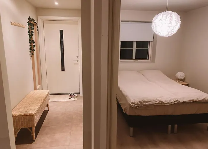 Cozy And Newly Renovated Appartment