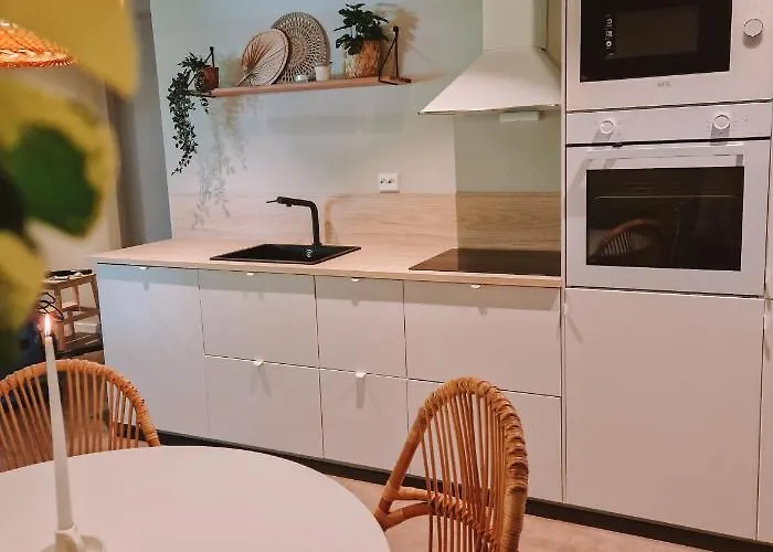 Cozy And Newly Renovated Appartment