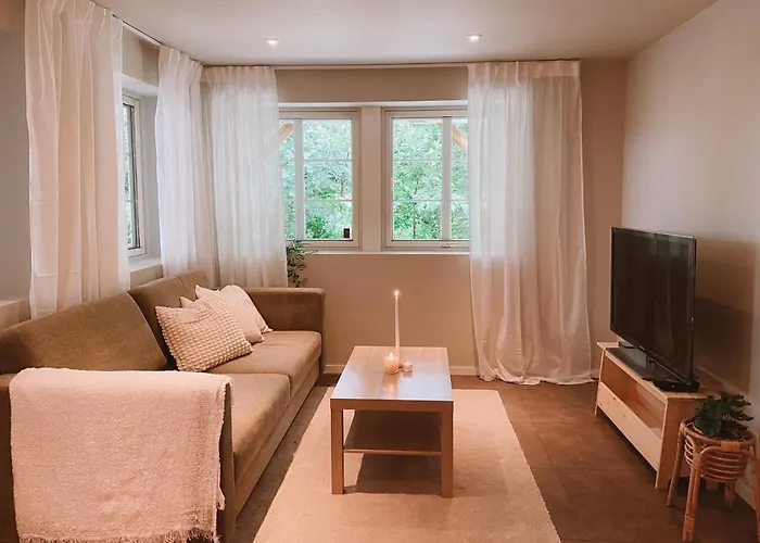 Cozy And Newly Renovated Appartment