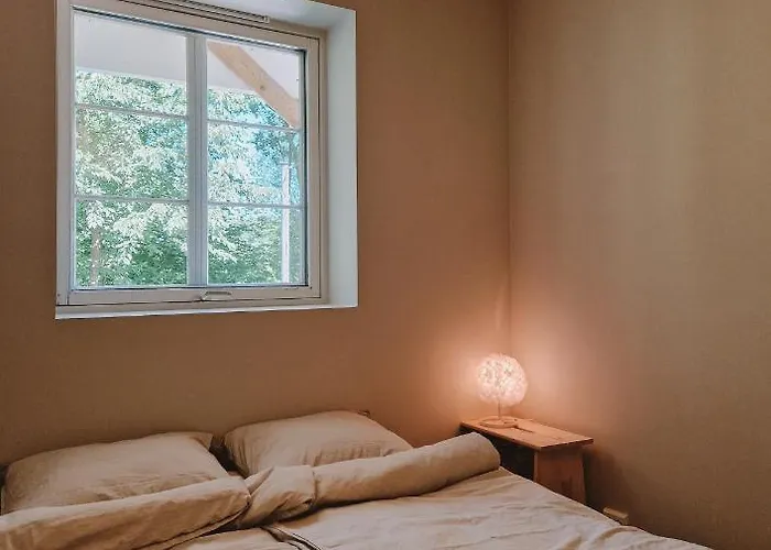 Cozy And Newly Renovated Appartment